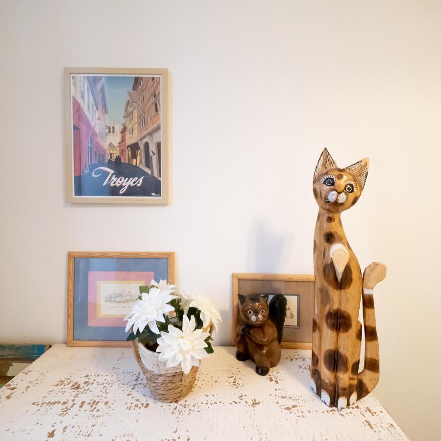 Le Chat De La Cathedrale - Calme - Jardin - Wifi Троа Екстериор снимка